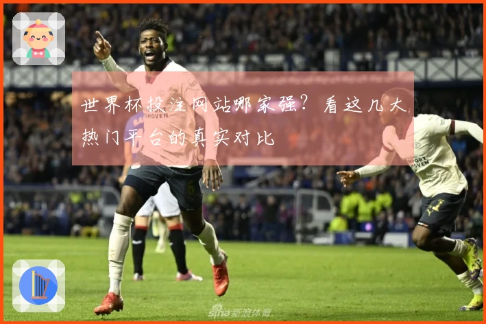 世界杯投注网站哪家强?看这几大热门平台的真实对比
