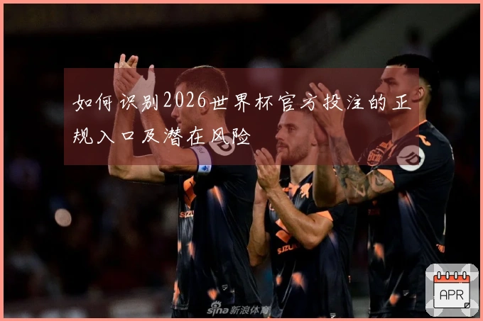 如何识别2026世界杯官方投注的正规入口及潜在风险