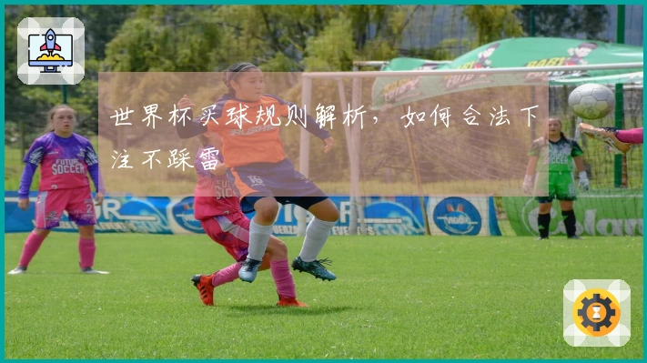 世界杯买球规则解析，如何合法下注不踩雷
