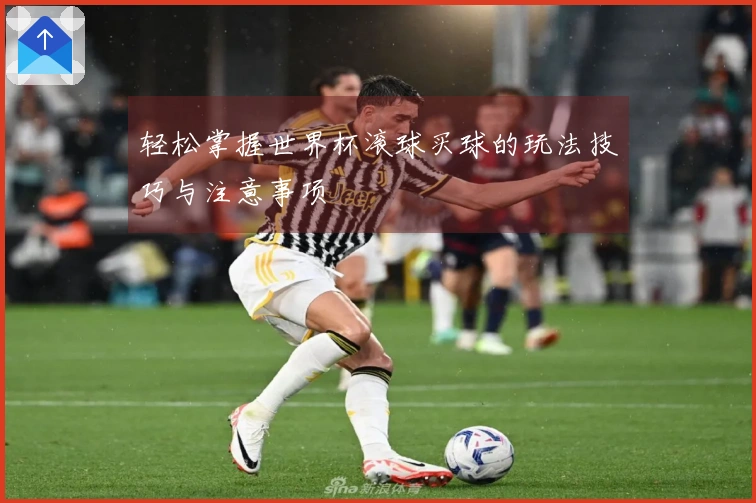 轻松掌握世界杯滚球买球的玩法技巧与注意事项