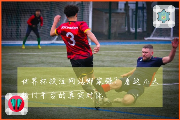 世界杯投注网站哪家强？看这几大热门平台的真实对比