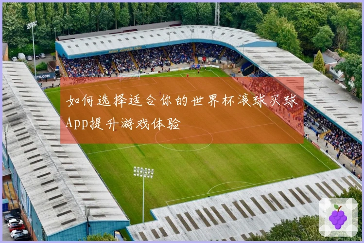 如何选择适合你的世界杯滚球买球App提升游戏体验