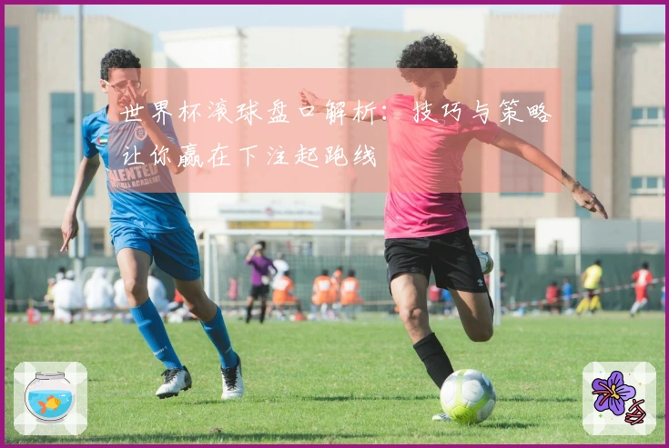 世界杯滚球盘口解析：技巧与策略让你赢在下注起跑线