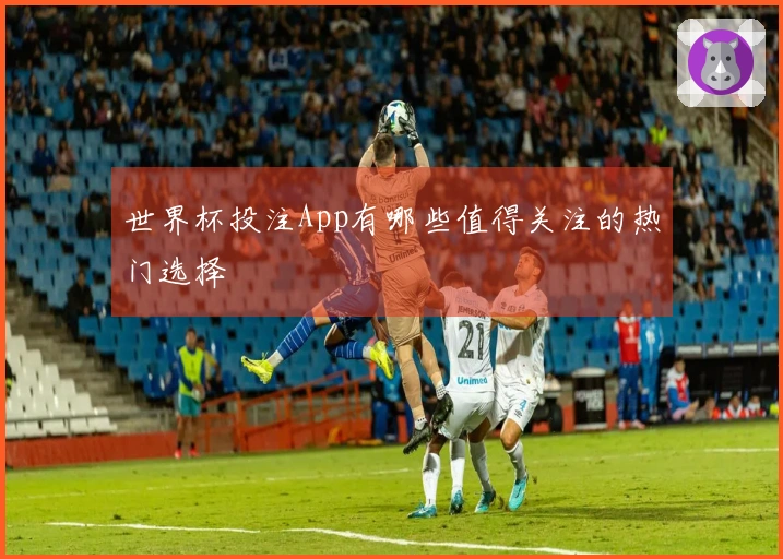 世界杯投注App有哪些值得关注的热门选择