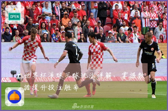 世界杯滚球买球玩法详解，掌握数据提升投注胜率