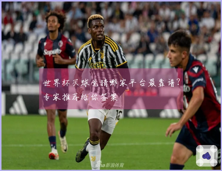 世界杯买球竞猜哪家平台最靠谱？专家推荐给你答案