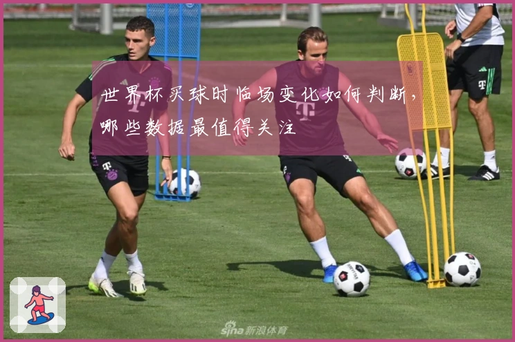 世界杯买球时临场变化如何判断，哪些数据最值得关注