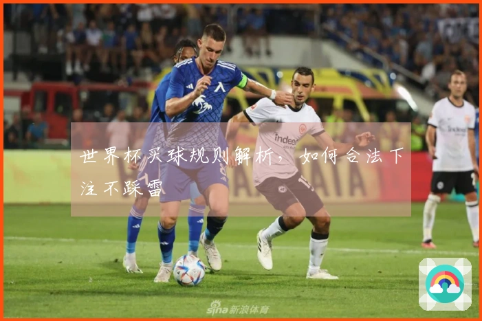 世界杯买球规则解析，如何合法下注不踩雷