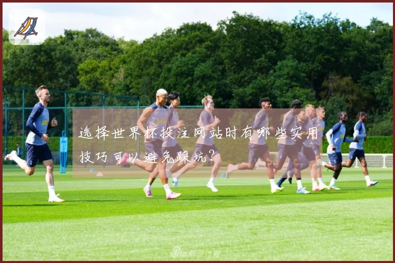 选择世界杯投注网站时有哪些实用技巧可以避免踩坑？