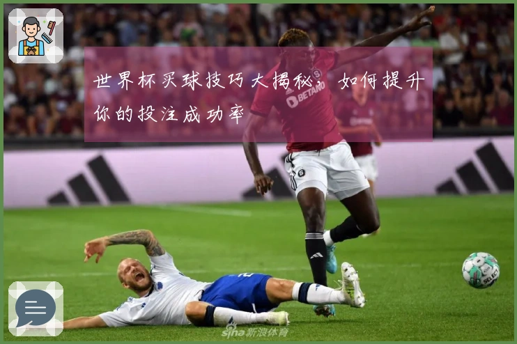 世界杯买球技巧大揭秘，如何提升你的投注成功率