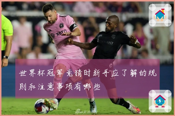 世界杯冠军竞猜时新手应了解的规则和注意事项有哪些