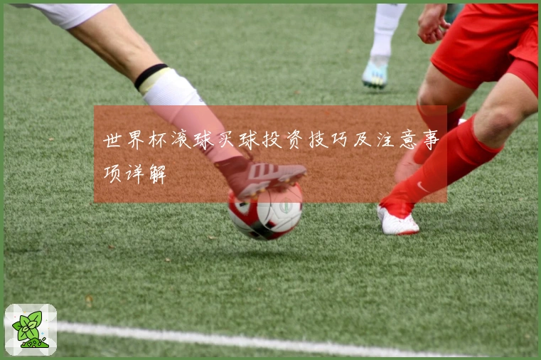 世界杯滚球买球投资技巧及注意事项详解