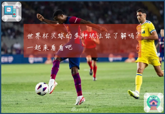 世界杯买球的多种玩法你了解吗？一起来看看吧