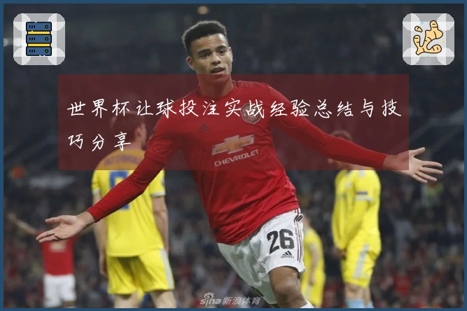 世界杯让球投注实战经验总结与技巧分享